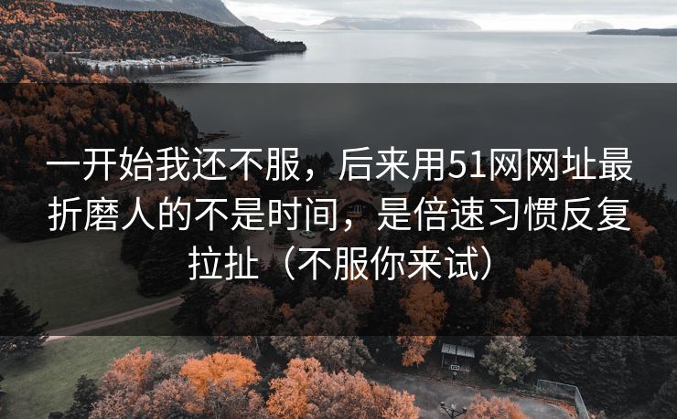 一开始我还不服，后来用51网网址最折磨人的不是时间，是倍速习惯反复拉扯（不服你来试）
