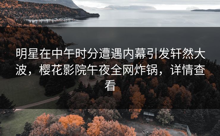 明星在中午时分遭遇内幕引发轩然大波，樱花影院午夜全网炸锅，详情查看