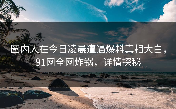 圈内人在今日凌晨遭遇爆料真相大白,91网全网炸锅,详情探秘