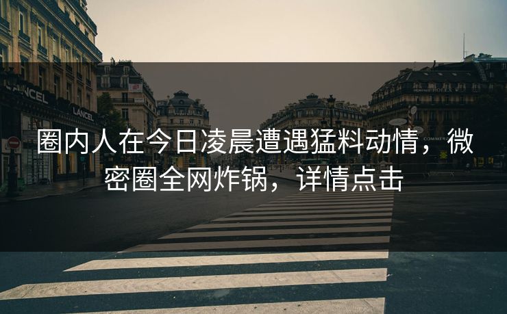 圈内人在今日凌晨遭遇猛料动情,微密圈全网炸锅,详情点击